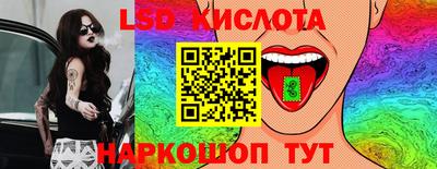 apvp Славгород