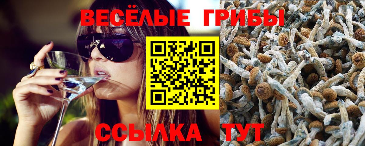 Нижнеудинск  Псилоцибиновые грибы Psilocybe  как найти наркотики  Вход с VPN 